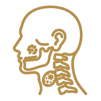 Cabeza y cuello
